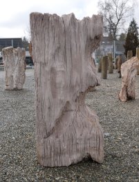  Vorschaubild G290-32623