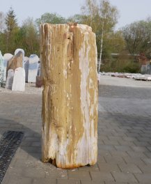  Vorschaubild G622-13720