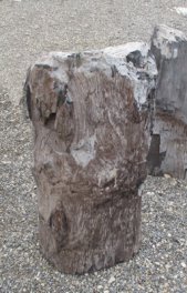  Vorschaubild G696-23223