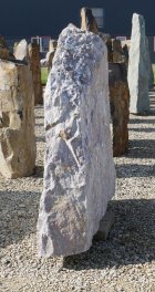  Vorschaubild LJ036-35845