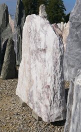  Vorschaubild LJ048-35851