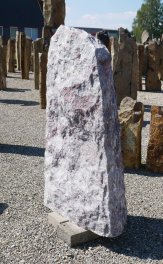  Vorschaubild LJ061-31788