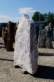  Vorschaubild LJ063-31790