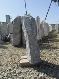  Vorschaubild LJ078-10807