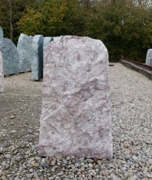  Vorschaubild LJ189-29705