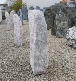  Vorschaubild LJ193-29709