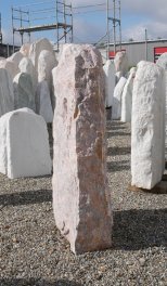  Vorschaubild LJ199-29488