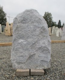  Vorschaubild LJ234-23007