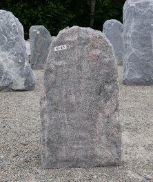  Vorschaubild MP083-31381