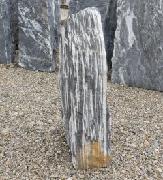  Vorschaubild MS047-29039