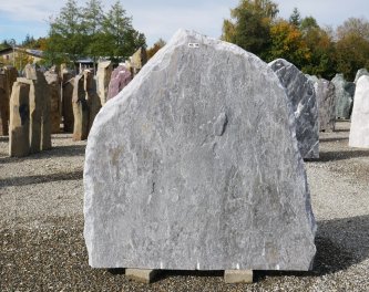  Vorschaubild MS099-34295