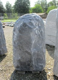  Vorschaubild MS105-26461