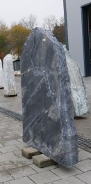  Vorschaubild MS110-34370