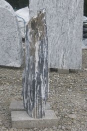  Vorschaubild MS151-20157