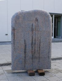  Vorschaubild NP409-168