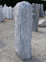  Vorschaubild PN041-31363