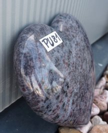  Vorschaubild PU0081-35382