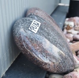  Vorschaubild PU0082-35386