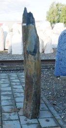  Vorschaubild SH012-35098