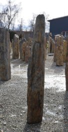  Vorschaubild SH033-32649