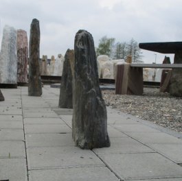  Vorschaubild SH099-28651