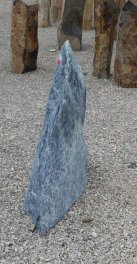  Vorschaubild TD056-31125