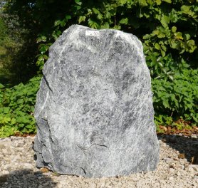  Vorschaubild TD104-35707