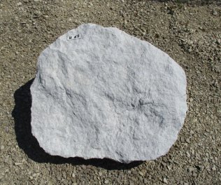  Vorschaubild U067-19434