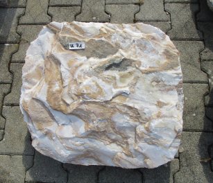  Vorschaubild U071-19435