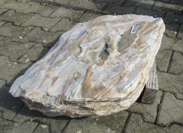  Vorschaubild U071-19435