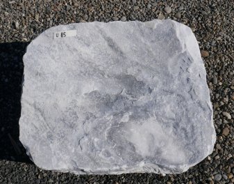  Vorschaubild U085-34954