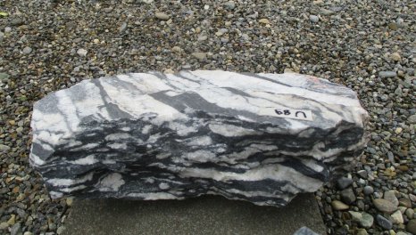  Vorschaubild U089-23381