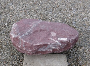  Vorschaubild U119-32406