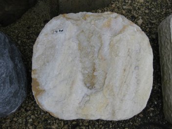  Vorschaubild U120-12547