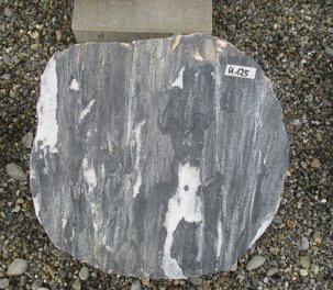  Vorschaubild U125-23395