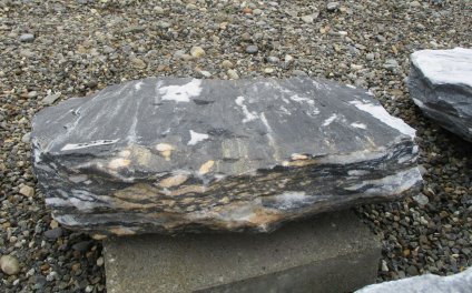  Vorschaubild U125-23395