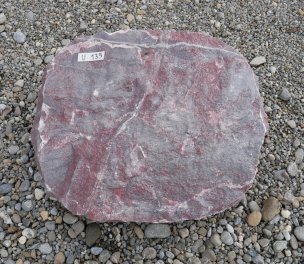  Vorschaubild U139-32407