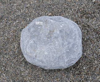  Vorschaubild U156-30388