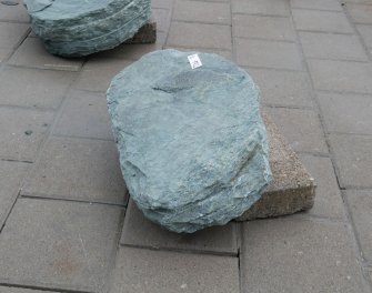  Vorschaubild U172-34758