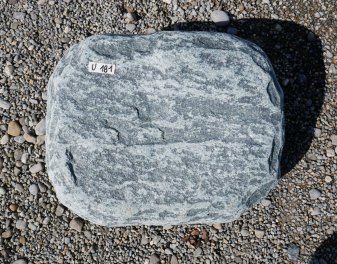  Vorschaubild U181-30394