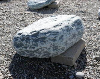  Vorschaubild U181-30394