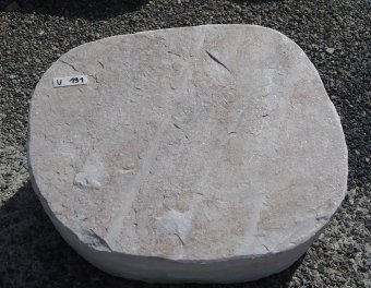  Vorschaubild U191-35242