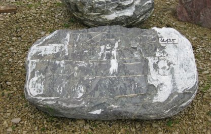  Vorschaubild U195-13016