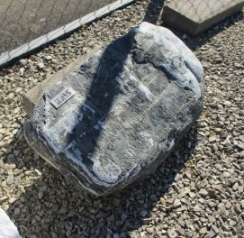  Vorschaubild U195-13016