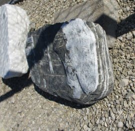  Vorschaubild U195-13016