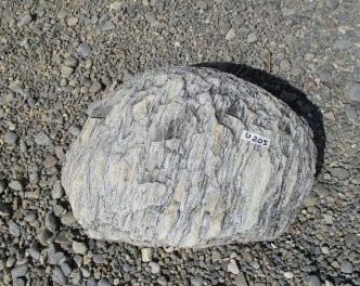  Vorschaubild U205-23763