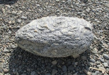  Vorschaubild U205-23763