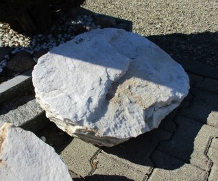  Vorschaubild U206-15329