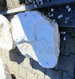  Vorschaubild U206-15329