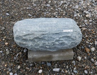  Vorschaubild U229-32455